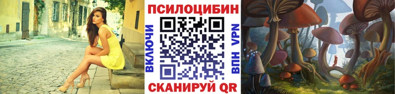 Псилоцибиновые грибы мухоморы  Купить закладки  Камышлов 